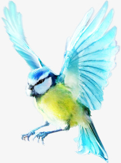 动物元素手绘动物展翅的鸟素材