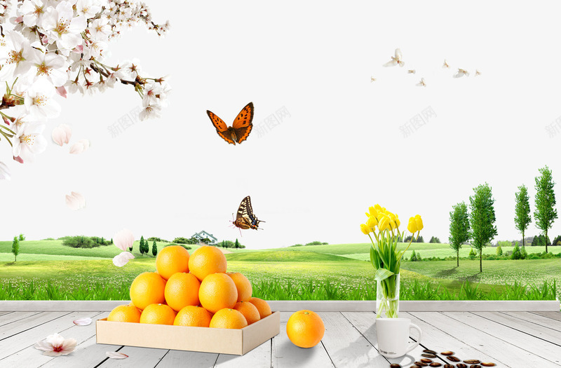 木板上的橙子png免抠素材_88icon https://88icon.com 木板 杏花 橙子 水杯 草坪 蝴蝶