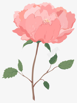 手绘粉色玫瑰花瓣素材