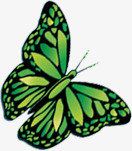 春季绿色卡通蝴蝶动物素材
