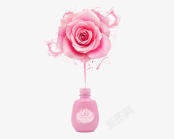金盏花创意广告图指甲油海报粉色玫瑰高清图片