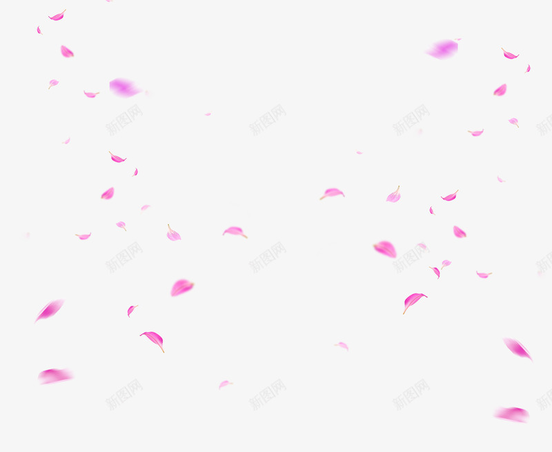 精美的粉红色花瓣图psd免抠素材_88icon https://88icon.com 一堆花瓣 免抠 免抠图 粉红色 精美 花 花朵 花瓣 鲜花