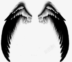 长翅膀的书黑白相间长天使翅膀高清图片