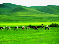 内蒙古呼伦贝尔草原风景图素材