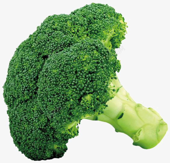 西蓝花元素png免抠素材_88icon https://88icon.com 创意蔬菜 天然 无公害 绿色 蔬菜免扣元素 食物