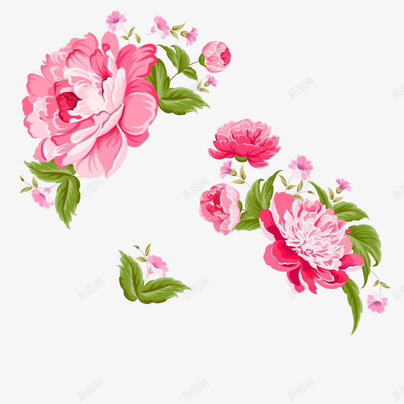 富贵牡丹花卉矢量图ai免抠素材_88icon https://88icon.com 富贵牡丹 牡丹 牡丹花 花 花卉 矢量图