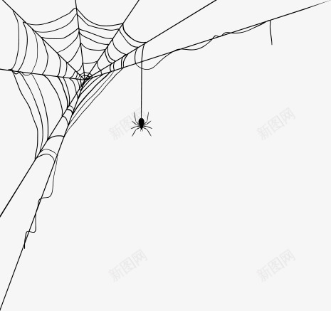 蜘蛛网png免抠素材_88icon https://88icon.com 线条 蜘蛛 蜘蛛网 蜘蛛网素材