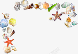 贝壳海星海螺海报背景素材