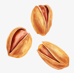 开心果坚果素材