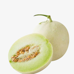 甜滋滋新鲜的白香瓜高清图片
