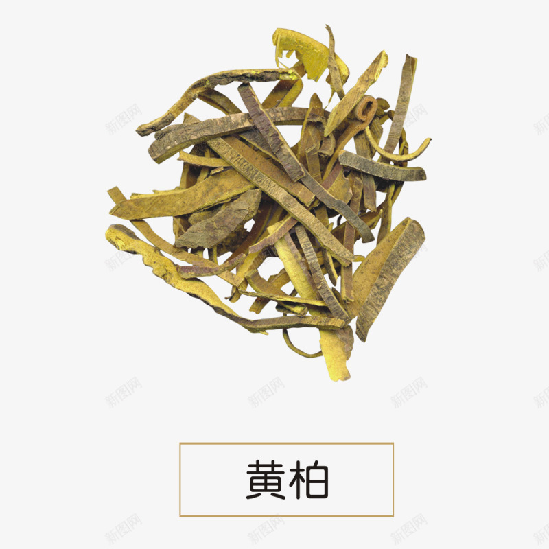 黄柏png免抠素材_88icon https://88icon.com 中药 产品实物 植物 药材 药用 黄柏