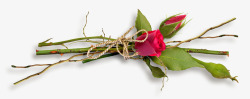 七巧一束玫瑰花高清图片