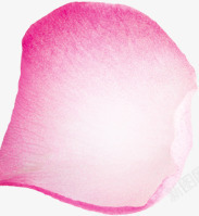 粉色花瓣淘宝首页素材