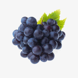黑色叶子黑色生鲜葡萄提子高清图片