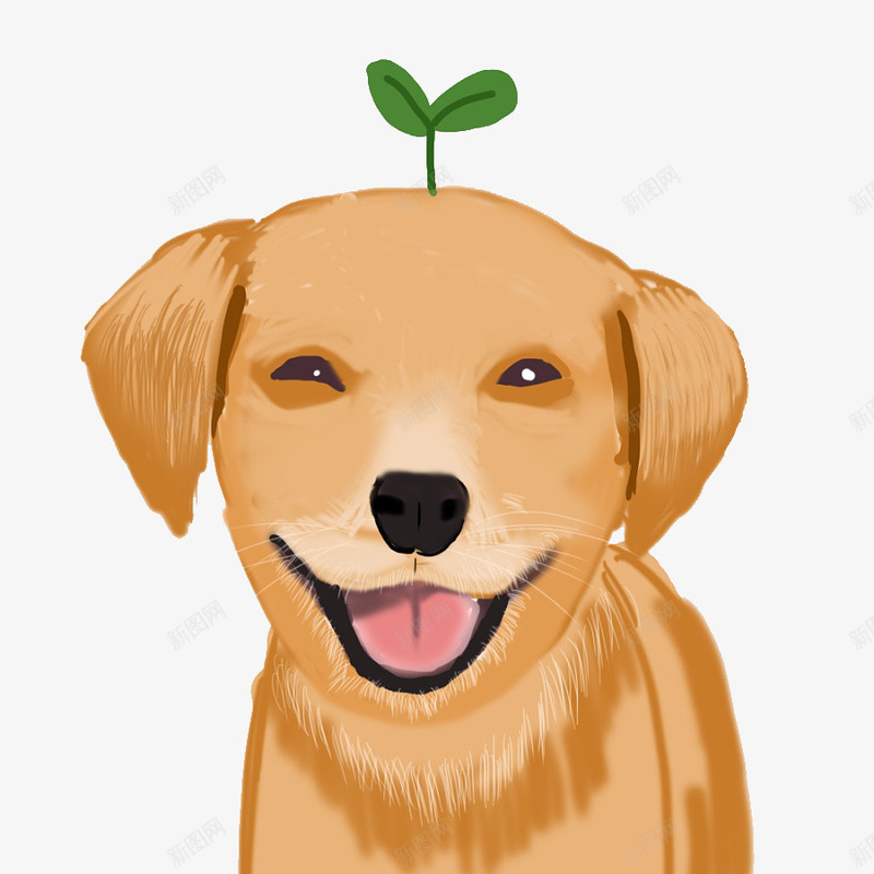 狗狗简笔画png免抠素材_88icon https://88icon.com 哈士奇 小草 狗狗 萨摩