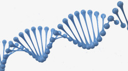核糖核酸dna遗传物质基因蓝色肽链脱氧高清图片