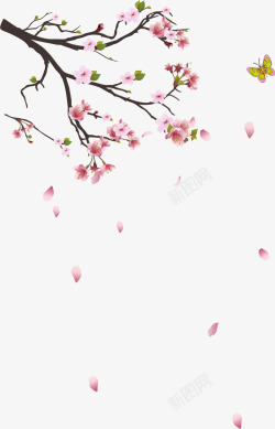 白色樱花枝樱花树枝矢量图高清图片