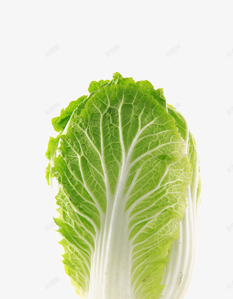 一颗大白菜png免抠素材_88icon https://88icon.com 一颗大白菜图 白菜 蔬菜 青菜