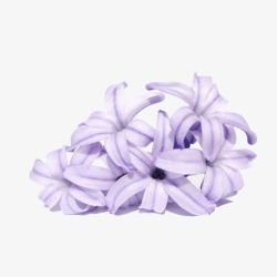 手绘浪漫紫色丁香花瓣装饰素材