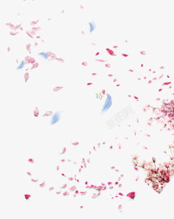 飘散的花瓣素材