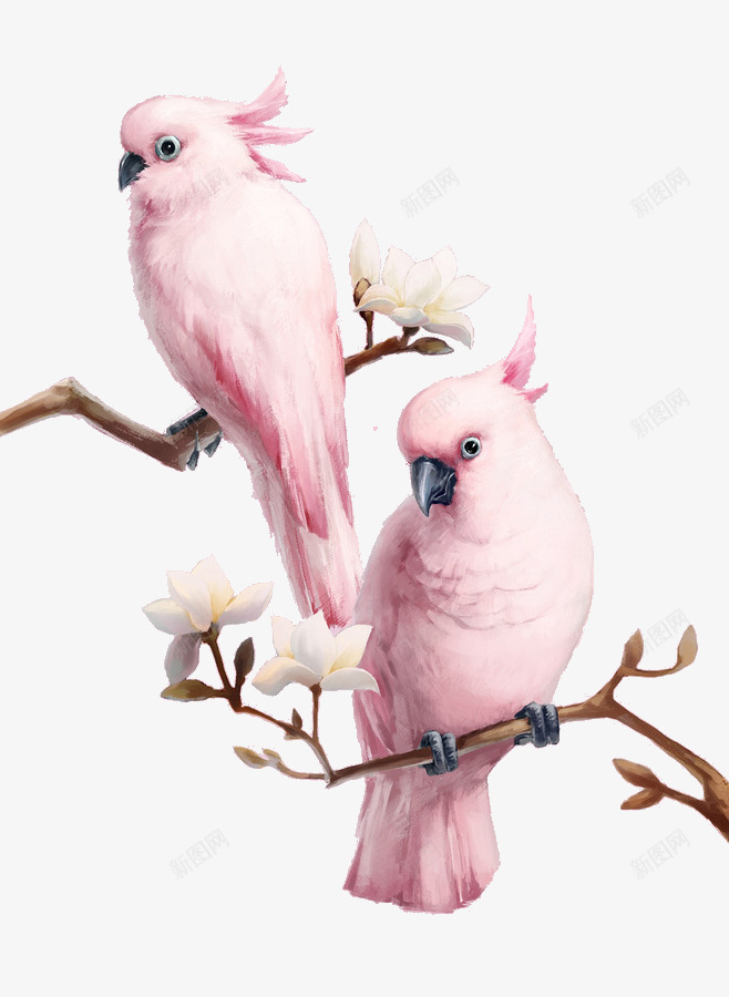 树枝上的粉色鹦鹉png免抠素材_88icon https://88icon.com 树枝 白色花朵 粉色 花朵 鸟类 鹦鹉