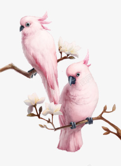 树枝上的粉色鹦鹉素材