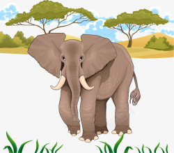丛林里的大象素材
