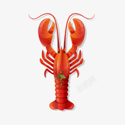 红龙虾卡通大红龙虾高清图片