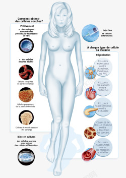 人的生命的奥秘生物医疗插图高清图片