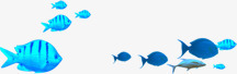 海底蓝色热带鱼群素材