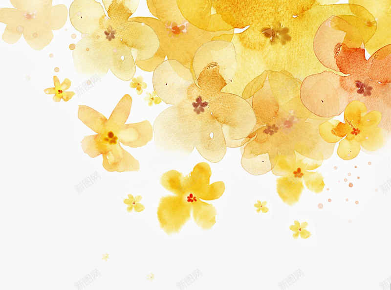 水彩桂花png免抠素材_88icon https://88icon.com 丹桂 小花 小黄花 插画 桂花 桂花插画 水墨 水彩 温馨 花草 黄花