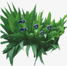 园林花草布局png免抠素材_88icon https://88icon.com 园林 布局 花草 设计