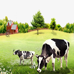 生态养殖奶牛牧场高清图片