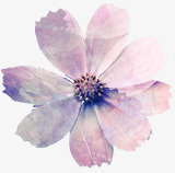 手绘紫色文艺花朵装饰素材