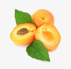杏子成熟的杏子高清图片