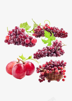 新鲜的提子水果葡萄提子高清图片