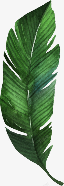 手绘一片绿叶装饰素材