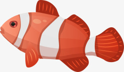 海洋生物红色条纹小鱼素材