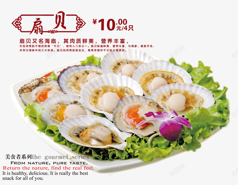 海鲜扇贝png免抠素材_88icon https://88icon.com 产品实物 生菜 碟子 精美海鲜 美味 美食 食物
