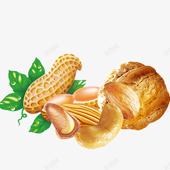 坚果类png免抠素材_88icon https://88icon.com 免抠 坚果类 炭烧腰果 美味