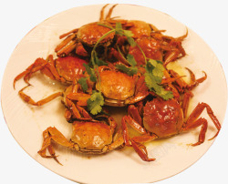 吮指蟹螃蟹烧螃蟹美味螃蟹素材