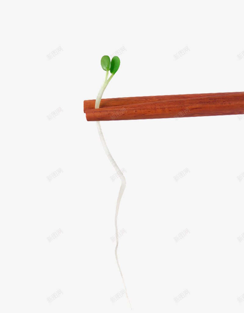 筷子上的小菜牙png免抠素材_88icon https://88icon.com 健康 健康饮食 关爱环境 烹饪 爱护 生命 筷子 绿色环境 芽菜 菜牙 菜苗