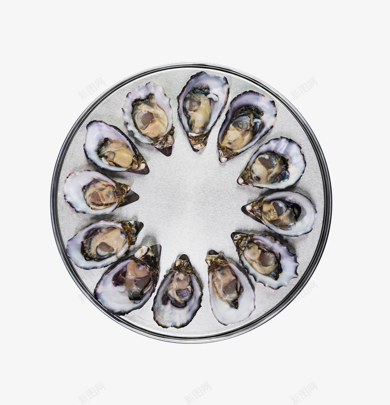 新鲜生蚝生鲜png免抠素材_88icon https://88icon.com 海鲜 生蚝 生鲜 美食