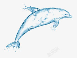 蓝色透明水流海豚素材
