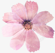手绘粉色文艺花朵装饰素材