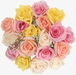 春季清新彩色玫瑰花束装饰素材