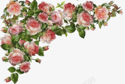 卡通玫瑰花卉相框背景装饰素材