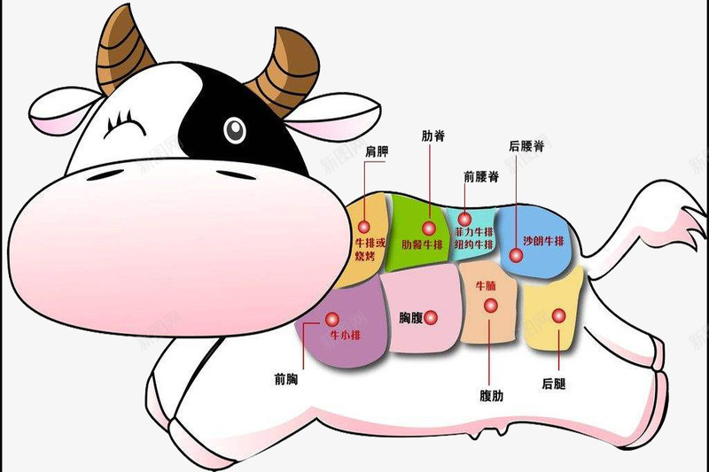 卡通牛肉各个部位png免抠素材_88icon https://88icon.com 卡通屠宰牛 屠宰 牛肉 牛肉分布图