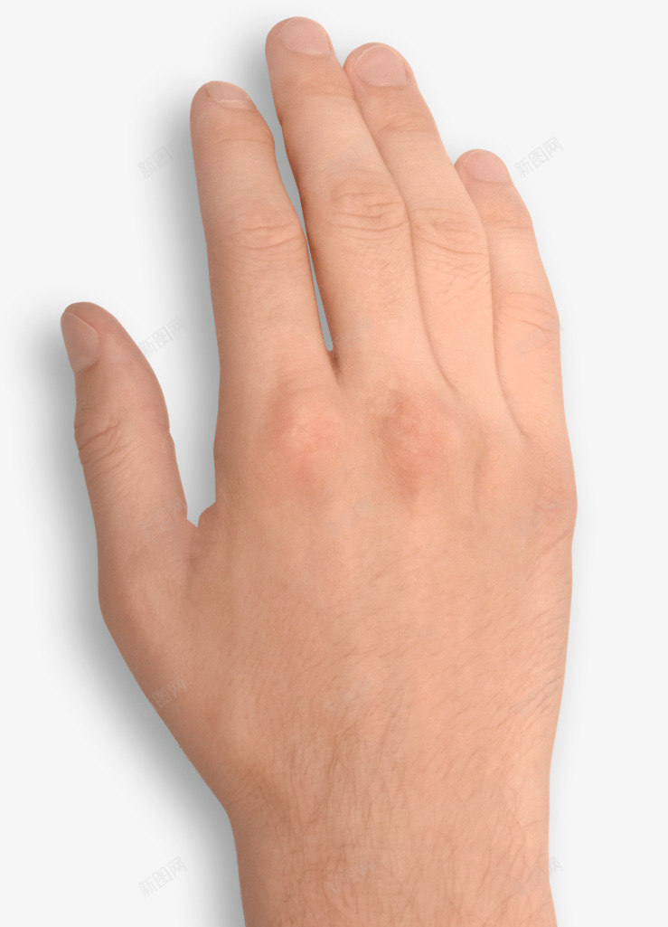 一只男人的手实物图png免抠素材_88icon https://88icon.com 人手 体毛 实物图 手指 手背 手腕 汗毛 男人 简图