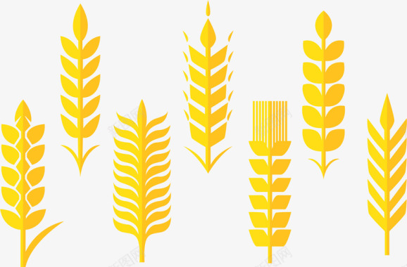 矢量燕麦金黄色麦穗图标图标